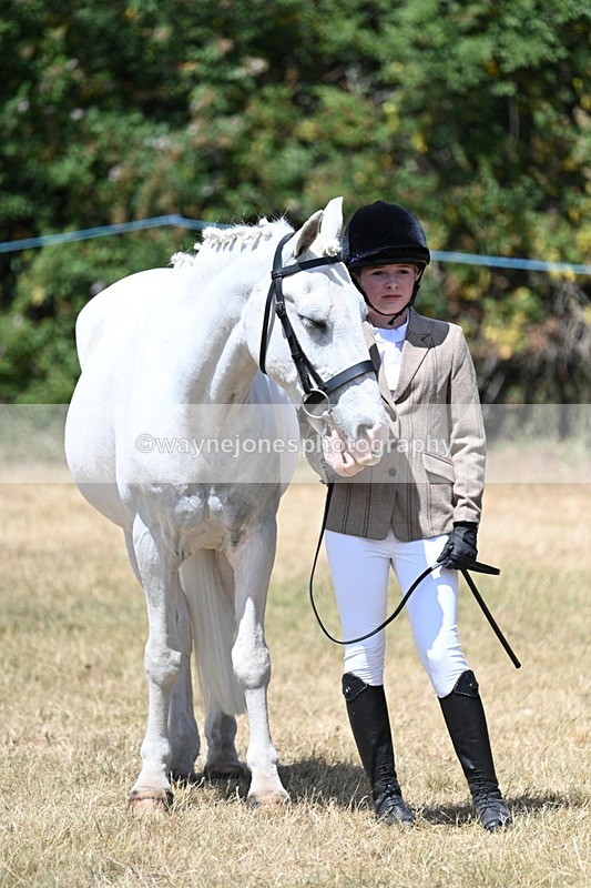WJ7_2196 - Class 5 Most Handsome Gelding (up to 14.2hh) in hand