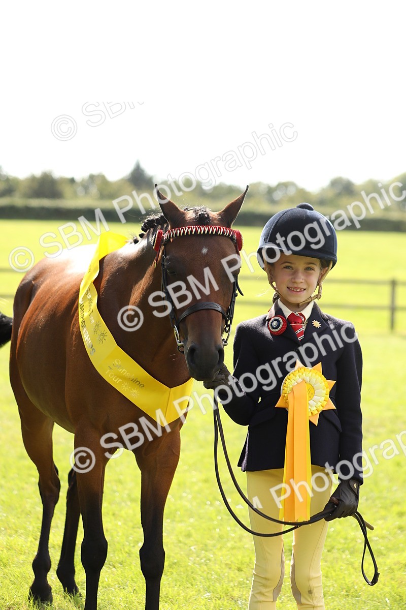 SBM_65617 - S48 - Show Pony & Show Hunter Pony In Hand