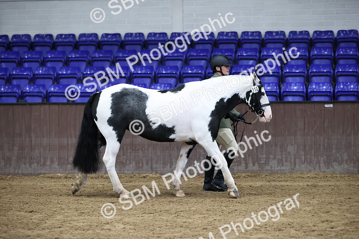 SBM_5608 - Class 40 - RESS In Hand Qualifier