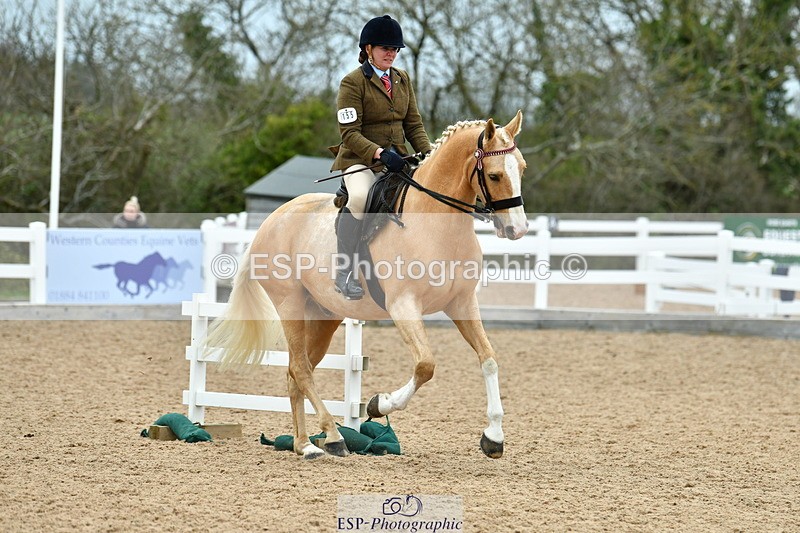 230416A-143013-05233 - Cls 74 Warmblood