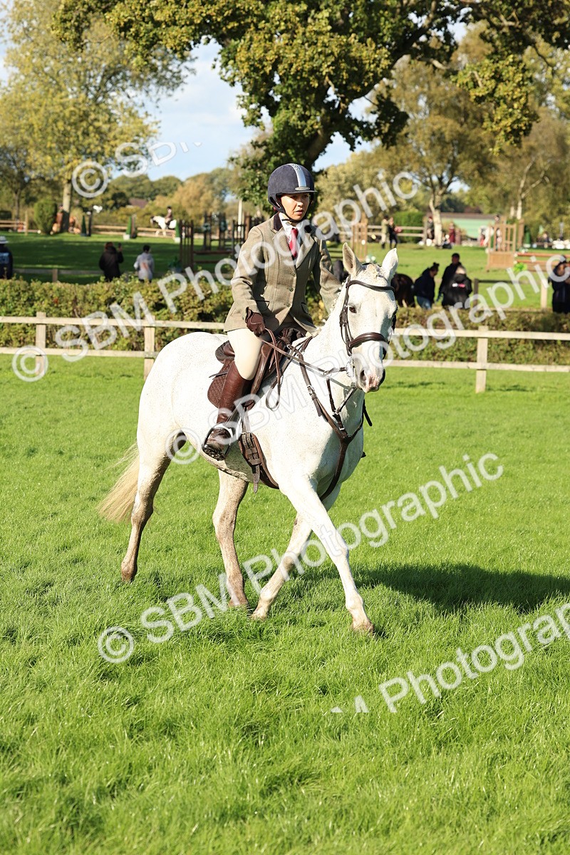 SBM_50125 - S34 - Novice & Newcomers Working Hunter