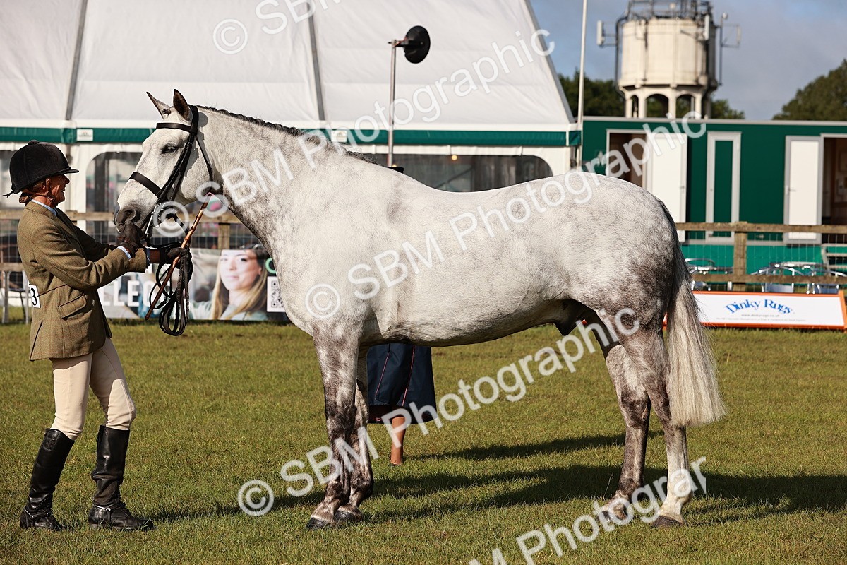 SBM_10814 - Class 81-84 - RIHS Ridden hunters Inc Ladies Hunter