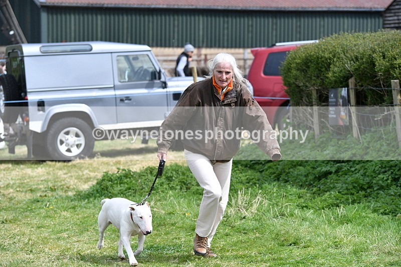 WJ5_0472 - Class 7 Best Terrier