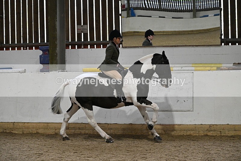 WJ7_3879 - Class 17 Ridden Cob