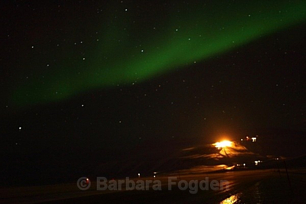 Northern Light 9302 - Polar night