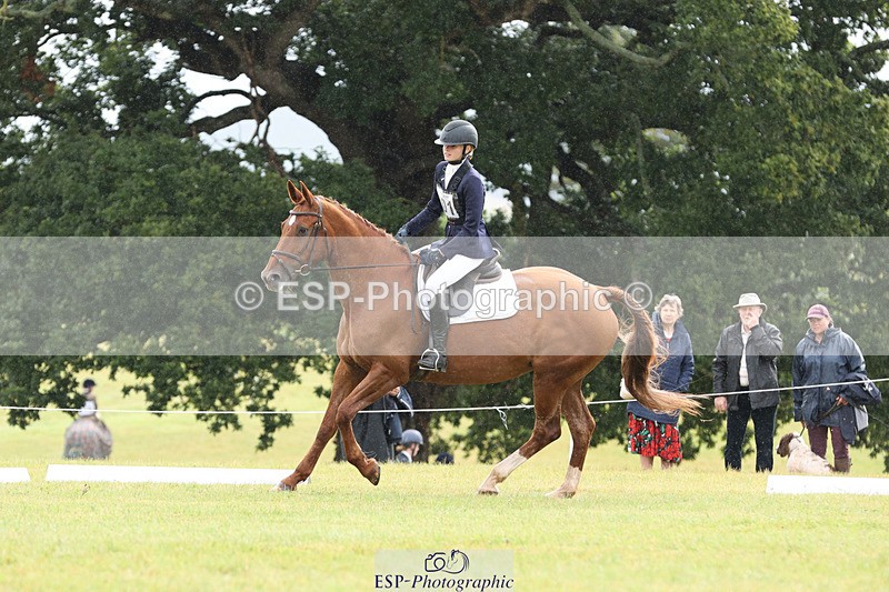 240824X-103524-22269 - D70 Section C and D 9.30 to 11.00