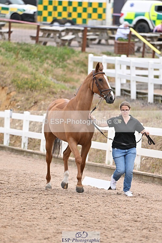 250716-140813-00924 - Trot Up 1.30 to 2.30