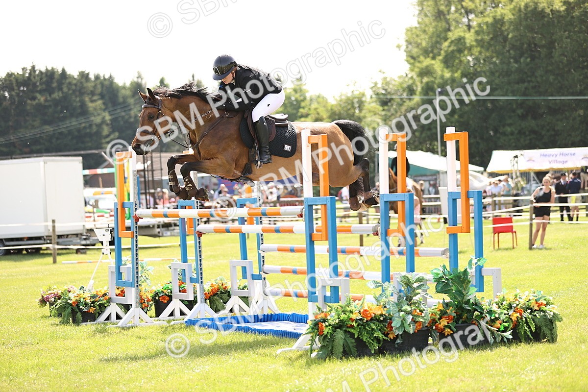 SBM_03098 - Class 201 - British Horse Feedds Speedi Beet HOYS Grade C