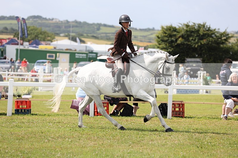 JPP_1266 - Class 17: Cornish Combination Open