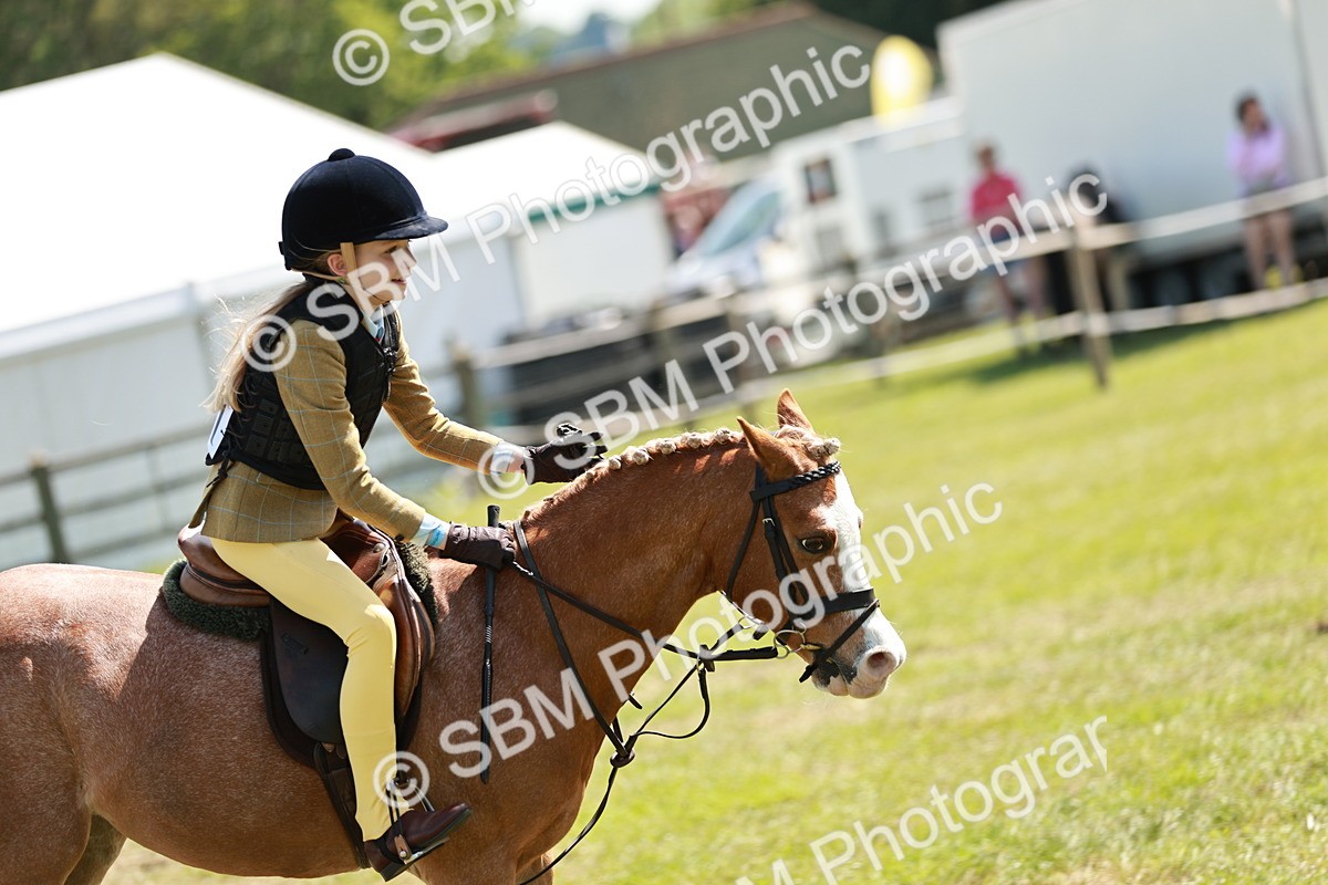 SBM_13593 - Class 108-109 - BSPS LIHS Open Gradle & Nursery Stakes