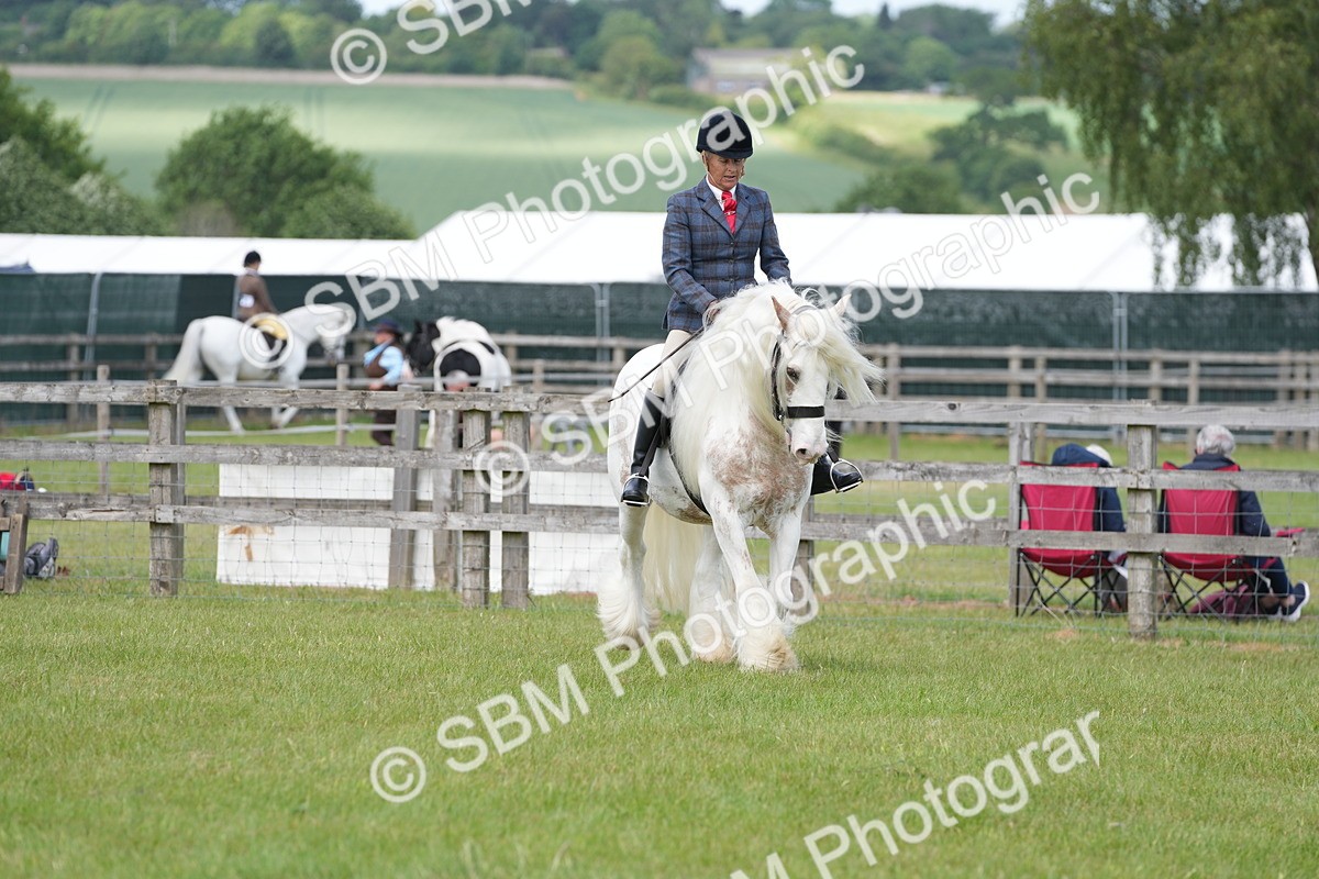 SBM_17184 - Class 107-108 - LIHS BSPS Performance Coloured Horse Pony