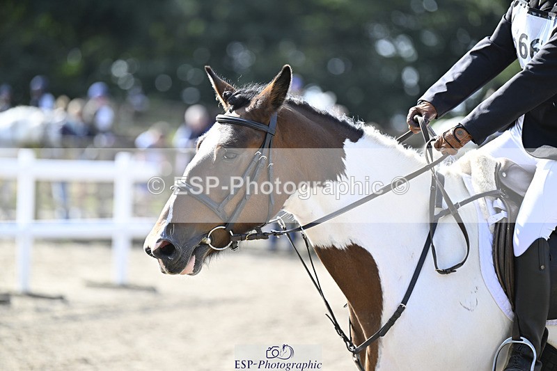 240823X-101600-15134 - 60cm R2 9.30 to 11.00