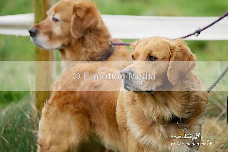 PtP 020122 266 - Larkhill Racing Club Point-to-Point 02/01/2022