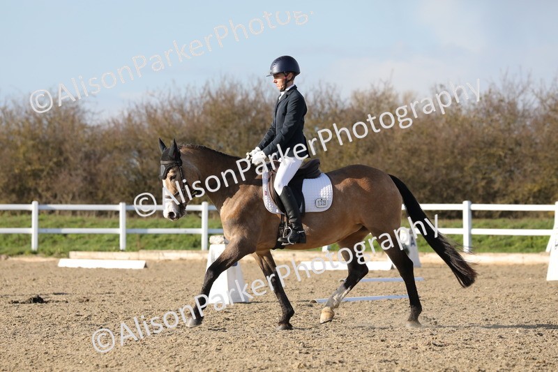 20260314-5873 - DR8 - Elementary 2