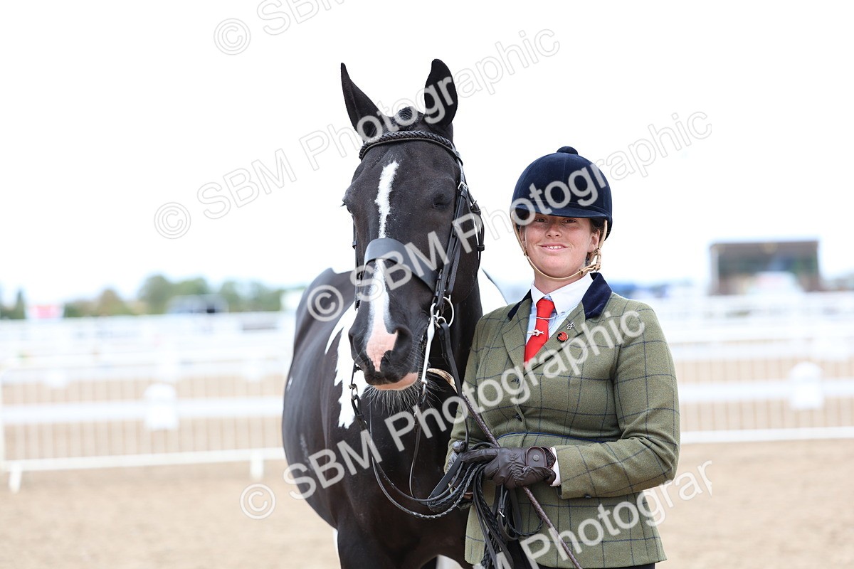 SBM_05075 - Class 27 - IH Competition Horse or Pony