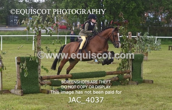 JAC_4037 - 40CM WORKING HUNTER