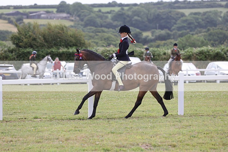 JPP_1617 - Cornish Combination Championship