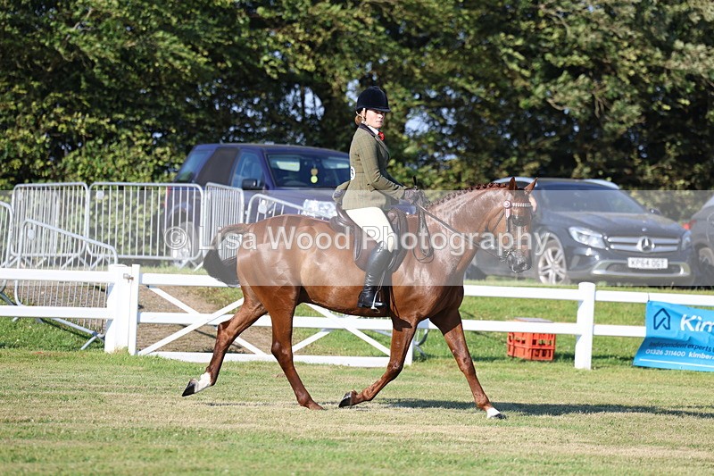 3E7A4930 - Class 1: Rising Star Small Hack/Riding Horses
