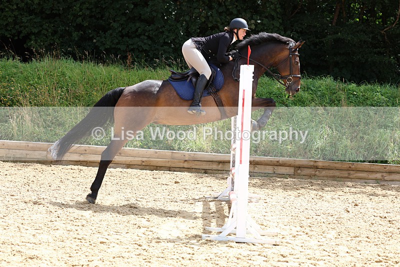 3E7A0211 - Class 9: Senior British Novice/90cm open