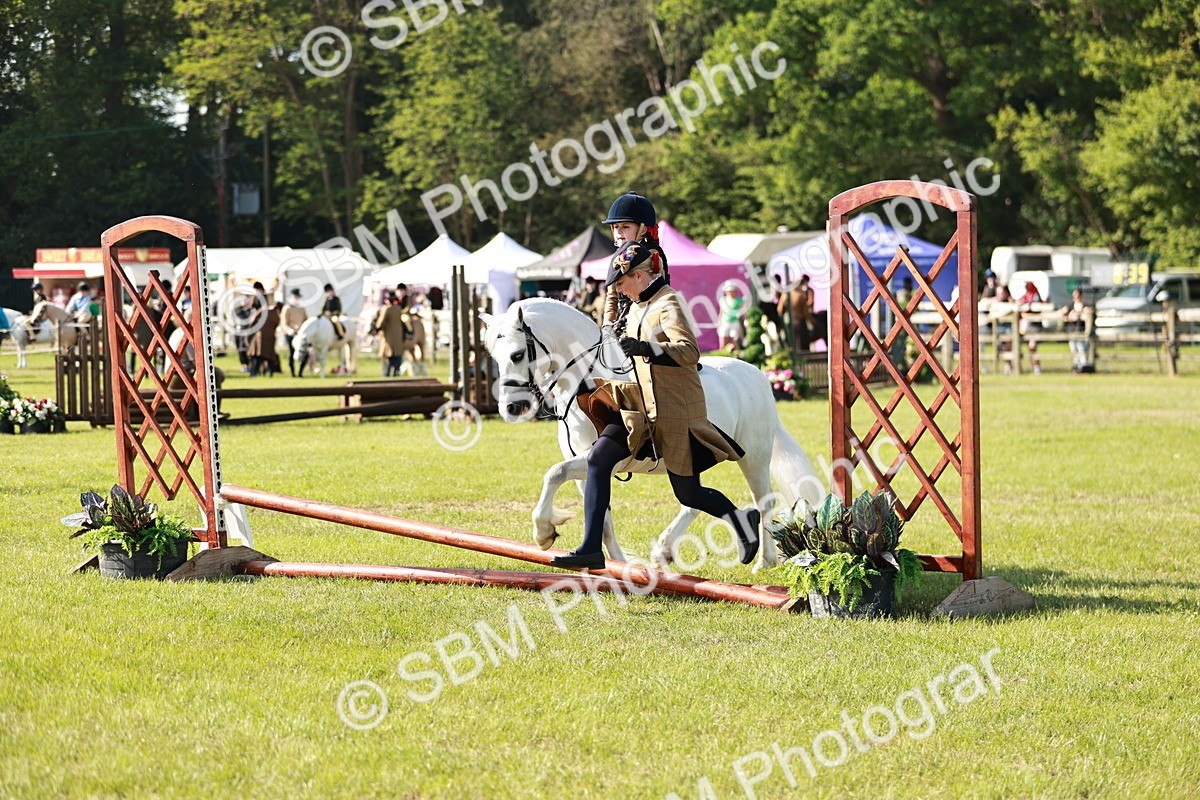SBM_11300 - Class 106-107 - BSPS LIHS Working Sports Pony