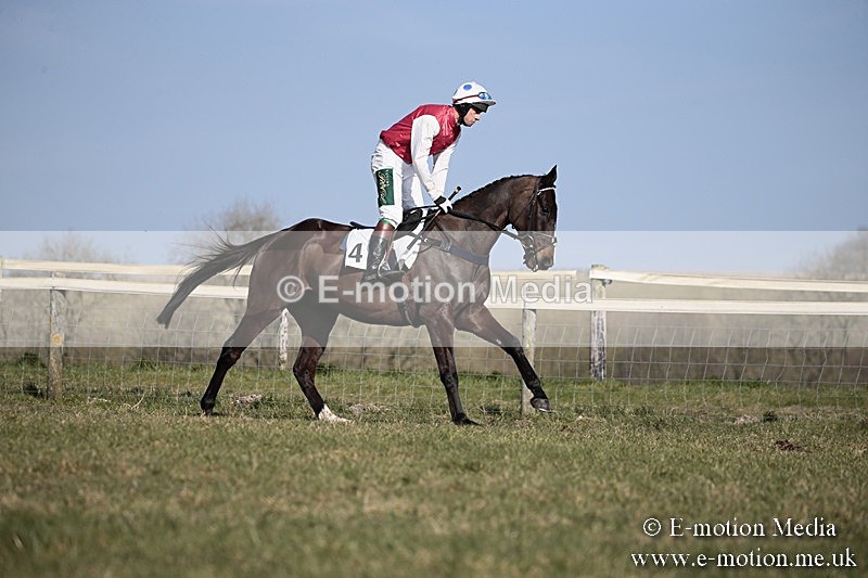 PtP 240218 204 - Vine & Craven Hunt Point-to-Point Barbury racecourse 24/02/18