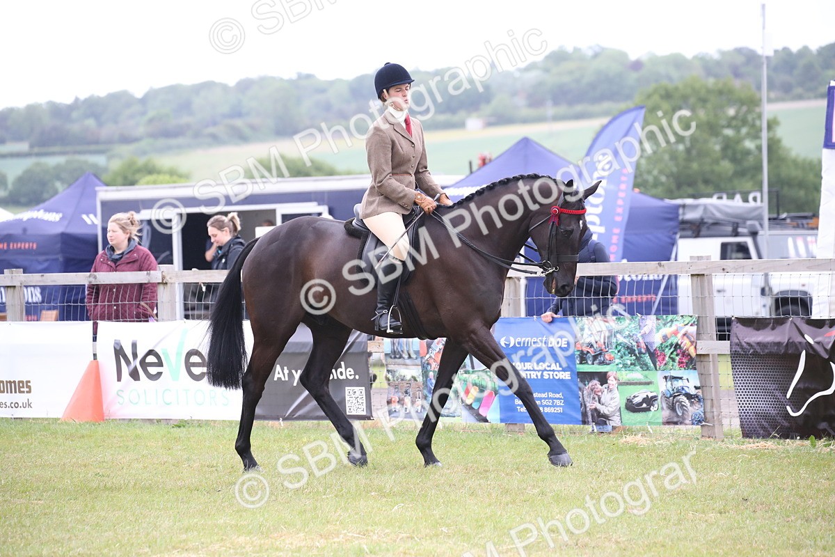 SBM_11396 - Class 94 - LIHS BSHA Racehorse to Showhorse