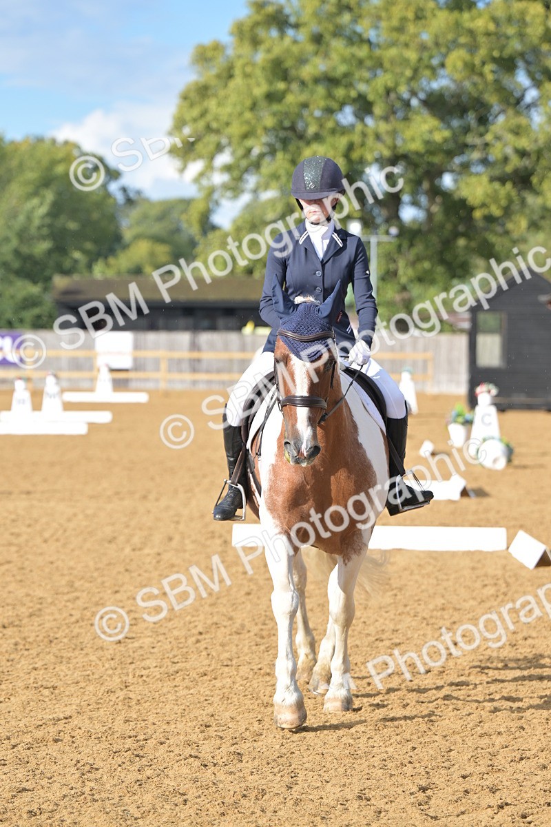 SBM_12918 - D3 - Small Tour Championship Intro 3