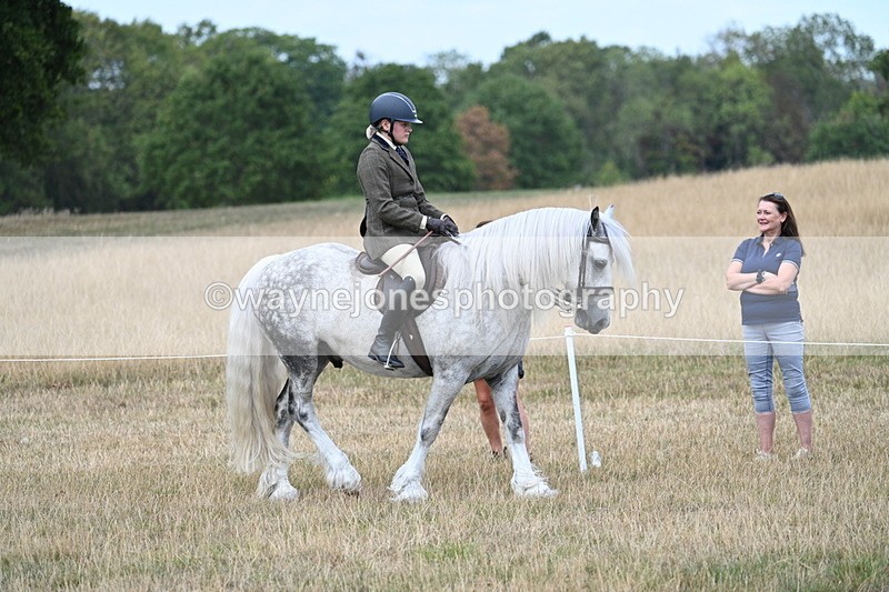 WJ7_5419 - Class 12 Ridden Cob