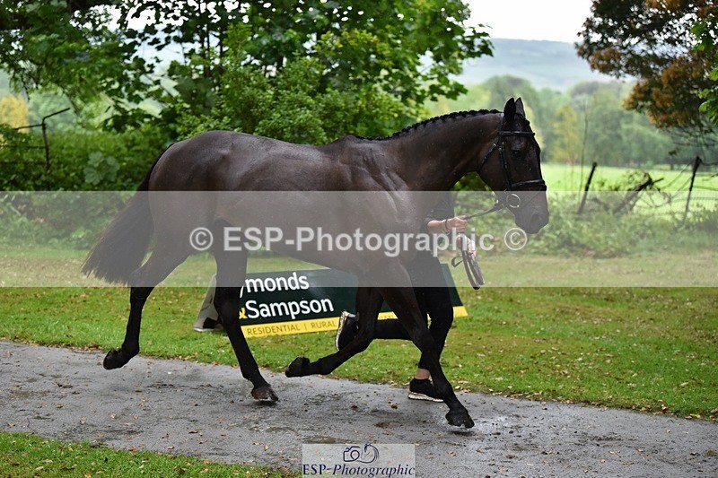 240522-153354-00435 - 376-STORM_BLUE_CURTIS-Phoebe_Buckley
