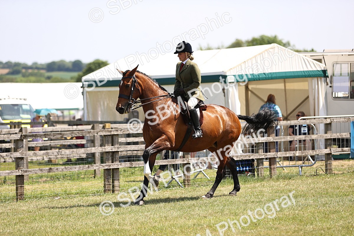 SBM_15082 - Class 79-80 - LIHS BSHA Rising Star Ridden Hunter