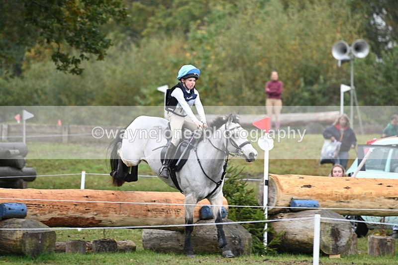 WJ6_2231 - 80cm Cam 1 Time 10:47 to 11:22