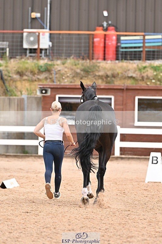 250716-144349-01339 - Trot Up 2.30 to 3.30