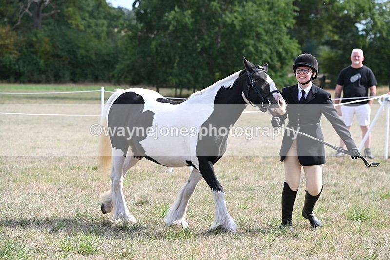 WJ6_6626 - Class 20 In-hand Cob