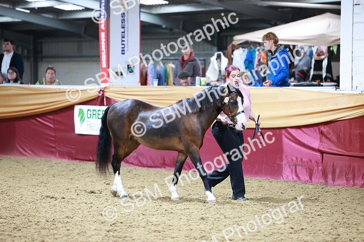 SBM_20093 - Class C - Novalty Champ