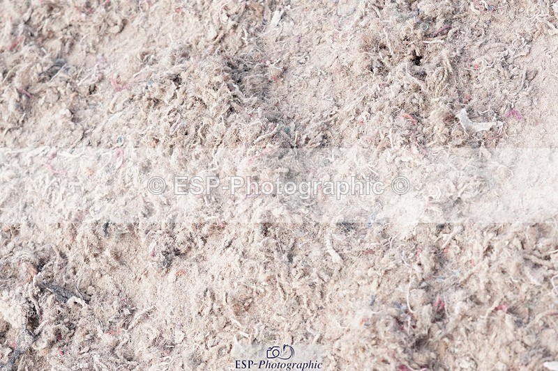 250503-110432-00598 - Cls 19+20 Club and Schools 70cm