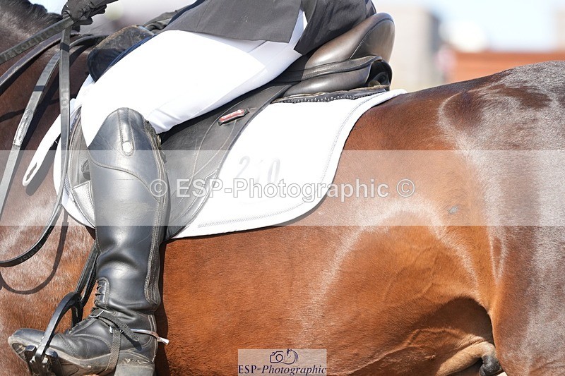 250817-164238-11939 - 210-Zoe.SmartBroadtown.King.Fisher