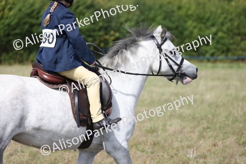 20260906-3019 - Class 18 - Childs First Pony