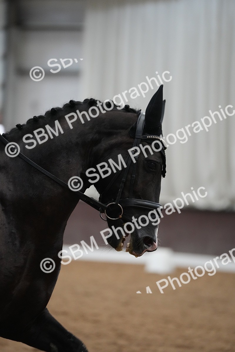 SBM_004499 - Class 11 - Elementary 2 Champs