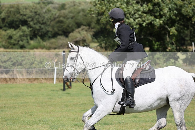 JPP_8719 - Class 2: Trekenning: 80cm Showjumping