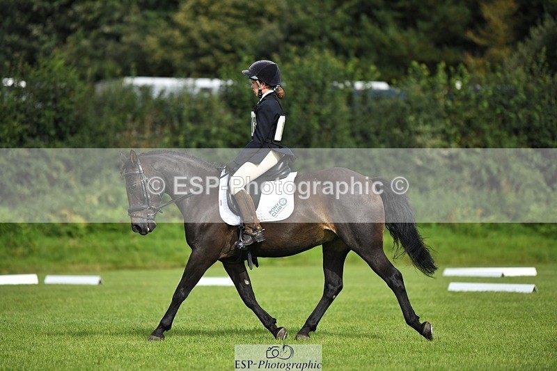 230826-095132-15265 - Sections C & D 9 to 10am