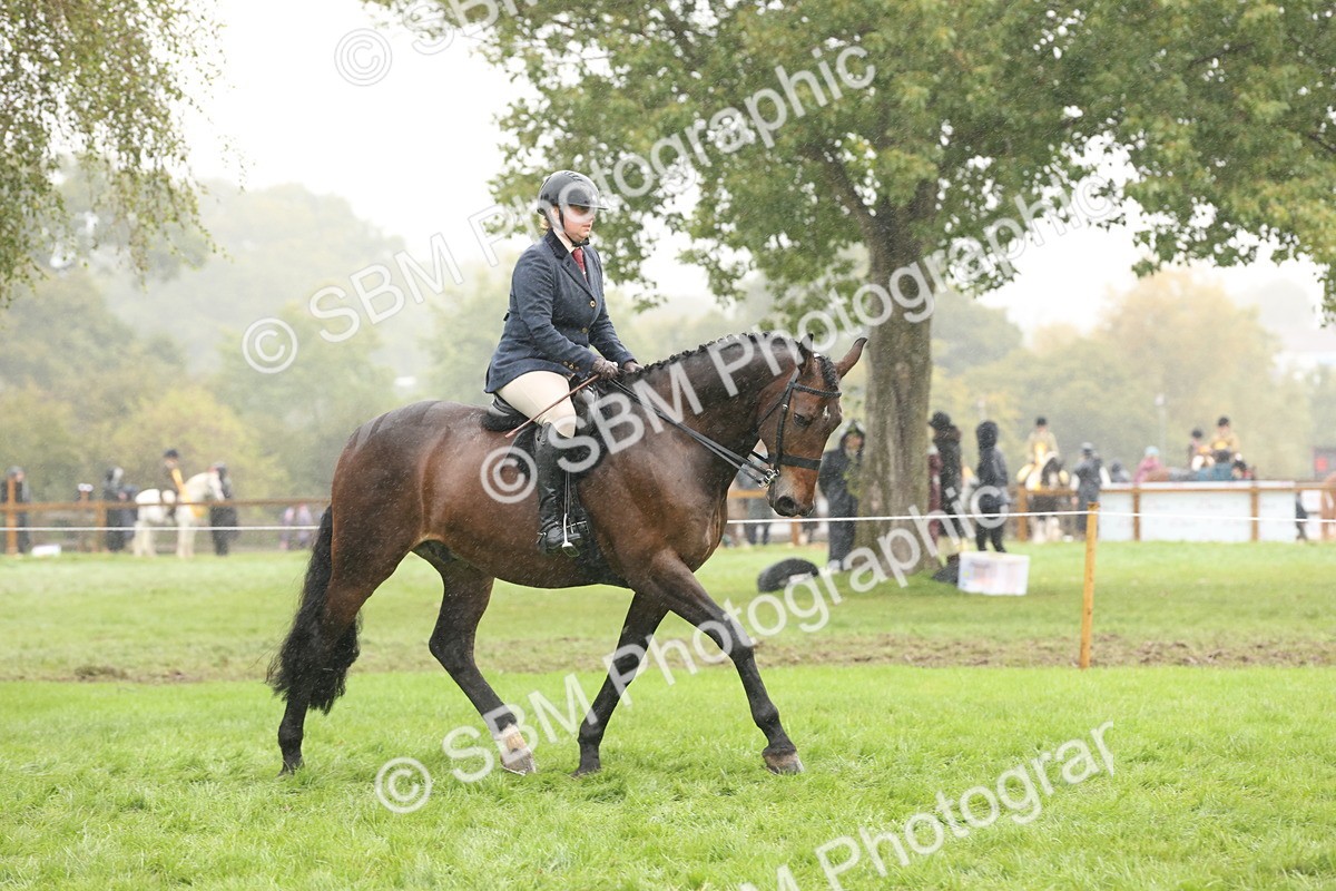 SBM_72898 - Ridden Horse Supreme Championship