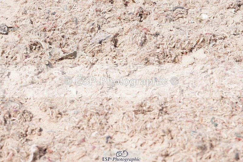 250503-114334-00656 - Cls 21+22 Club and Schools 80cm