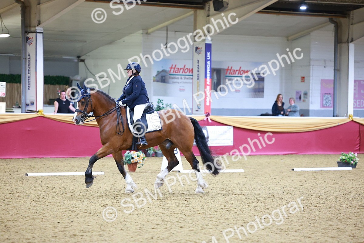SBM_06771 - Class 61 - Dressage to Music