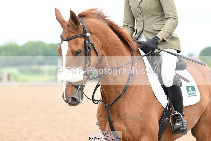 250611-102648-00129 - Cls 1 Brit Novice & 90cm Open