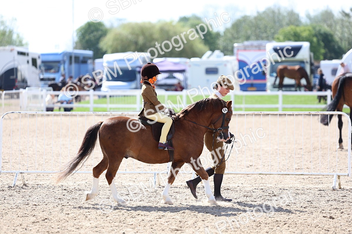 SBM_13006 - Class 309 - Lead Rein Pony