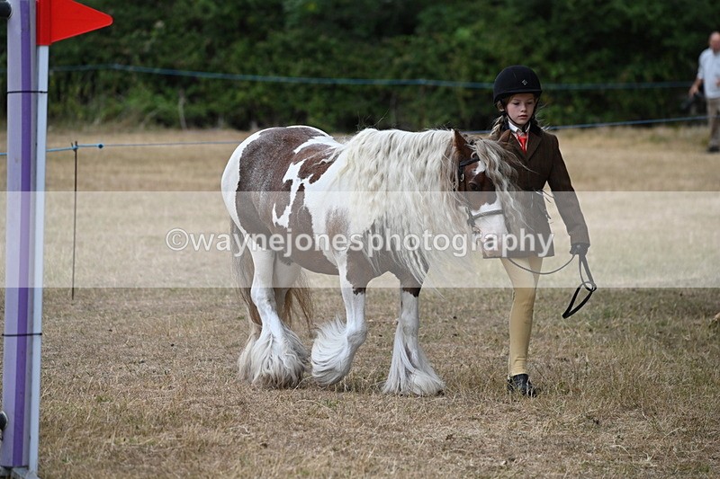 WJ6_7892 - Class 10 Coloured in Hand