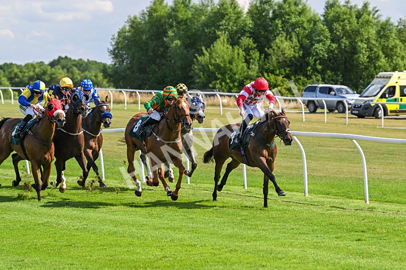 160725-Race 4-Lady Bouquet-9131 - Race 4