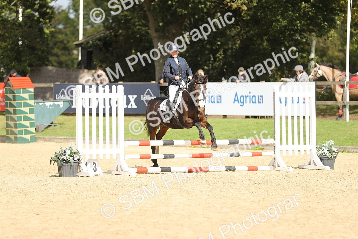 SBM_06476 - J29 - Senior Horse & Pony 65cm Championship
