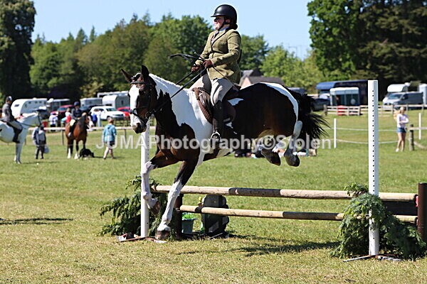 IMG_4103 - Working Hunter