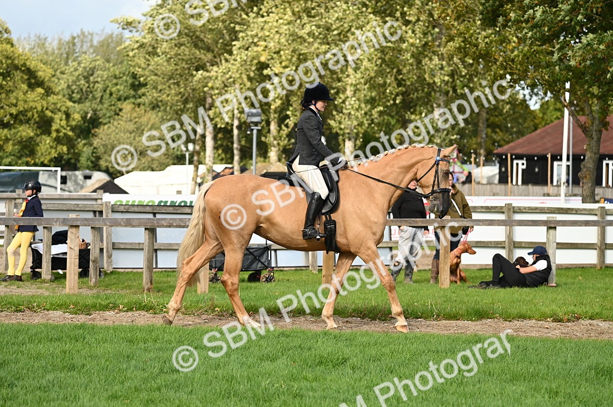 SBM_26293 - S6 - Novice & newcomer Ridden horse